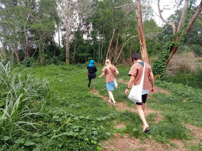 From Phuket: Ethical Elephant Interactive Trek and Tour - Itinerary and Experience