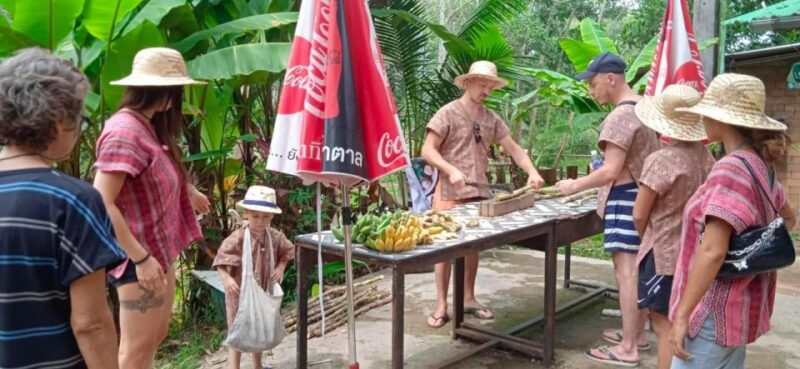 From Phuket: Ethical Elephant Interactive Trek and Tour - Pickup and Drop-off Locations