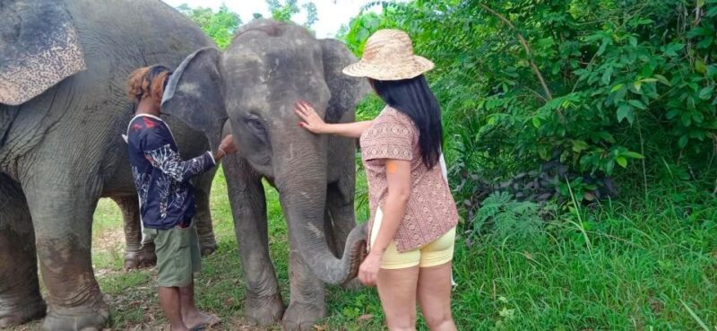 From Phuket: Ethical Elephant Interactive Trek and Tour - Customer Reviews and Feedback