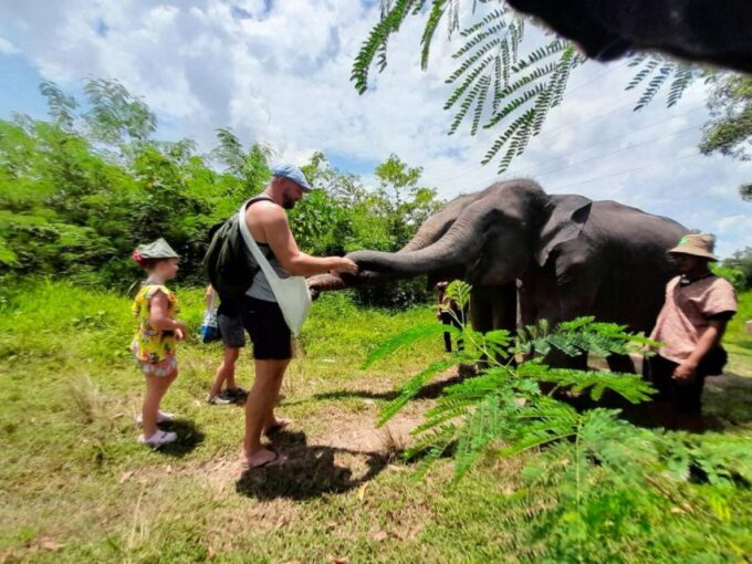 From Phuket: Ethical Elephant Interactive Trek and Tour - Ethical Elephant Sanctuary