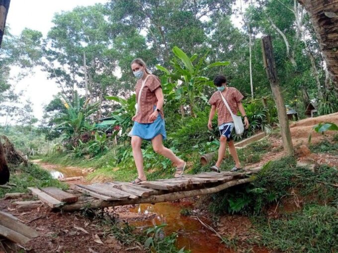 From Phuket: Ethical Elephant Interactive Trek and Tour - Interactive Elephant Experiences