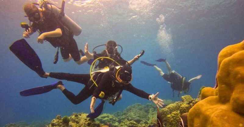 From Phuket: Full-Day Similan Island Scuba Diving Day Trip - Pricing and Inclusions