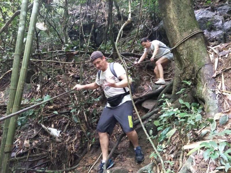 From Phuket: Guided Rainforest Hike With Lunch - Key Points