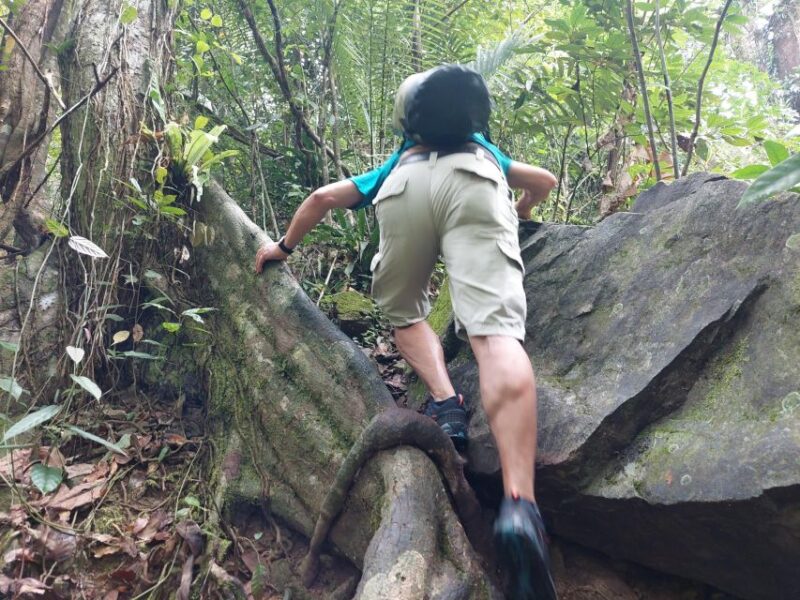 From Phuket: Guided Rainforest Hike With Lunch - Inclusions and Exclusions