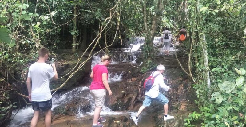 From Phuket: Guided Rainforest Hike With Lunch - Pickup and Dropoff Locations