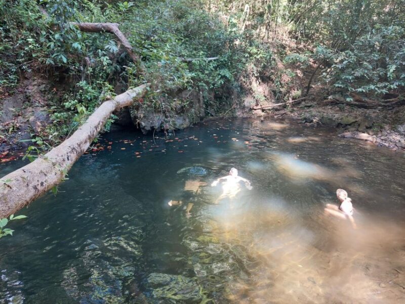 From Phuket: Guided Rainforest Hike With Lunch - Frequently Asked Questions
