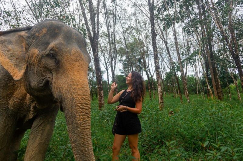 From Phuket: Khao Lak Elephant Sanctuary Full-Day Tour - Group Size and Experience