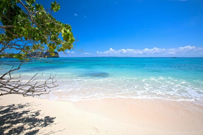 From Phuket Or Khao Lak: Phi Phi Islands Early Bird Tour - Tour Options