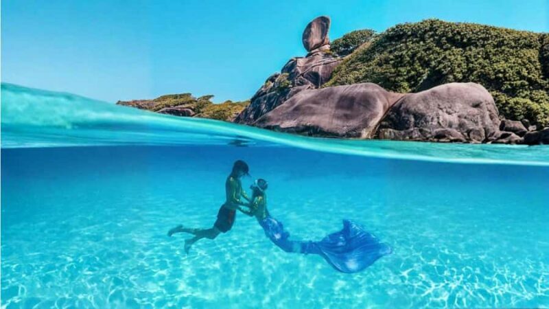 From Phuket or Khaolak : Similan Islands Day Trip - What Makes This Tour Valuable