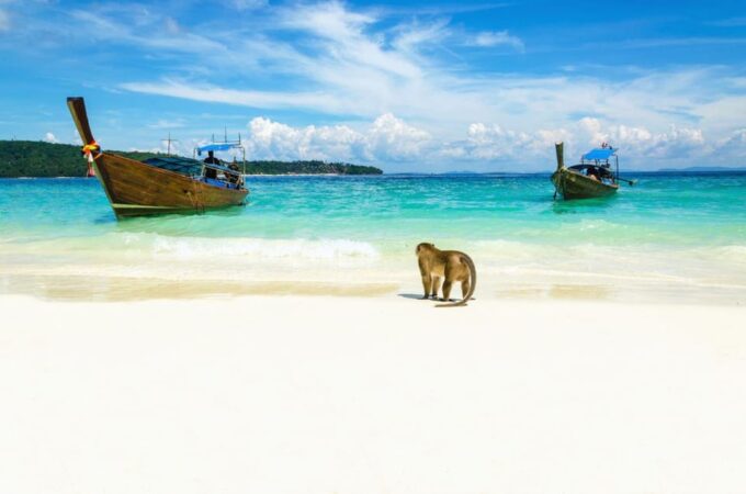 From Phuket: Phi Phi Island and Khai Island by Speed Boat - Inclusions and Exclusions