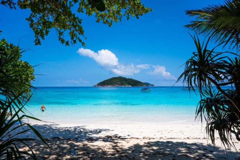 From Phuket: Similan Islands Day Trip - Important Information