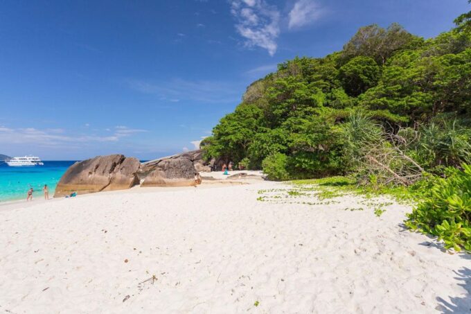 From Phuket: Similan Islands Luxury Trip by Speed Catamaran - Boat and Activity Details