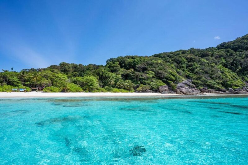 From Phuket: Similan Islands Snorkeling Trip by Speedboat - Itinerary Highlights