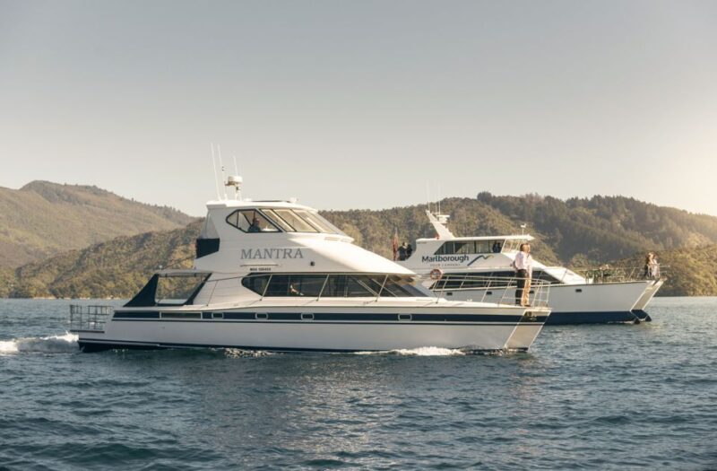 From Picton: Marlborough Sounds Cruise With Seafood - Booking Information