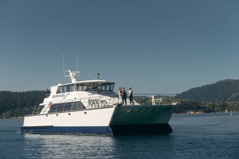 From Picton: Marlborough Sounds Cruise With Seafood - Customer Experiences