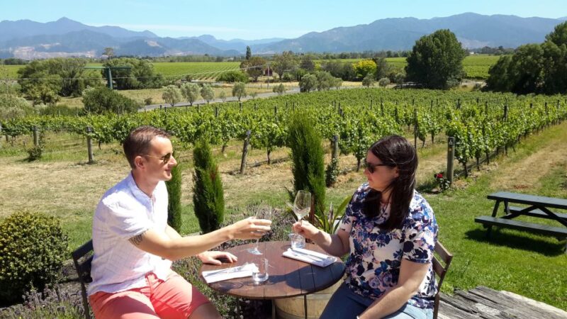 From Picton: Marlborough Wine Trip Shore Excursion - Itinerary and Experience