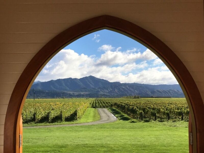 From Picton: Private Wine and Gourmet Tour of Marlborough - Experience Highlights