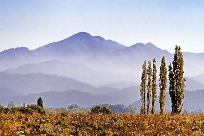 From Picton: Private Wine and Gourmet Tour of Marlborough - Customized Tour Itinerary