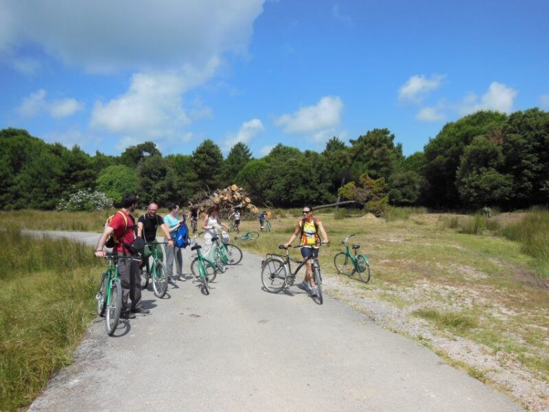 From Pisa to Lucca Along Puccini Cycling Path - Group and Private Tour Options