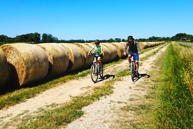 From Pisa to Lucca by E-Bike Self-Guided Tour - Participation Suitability