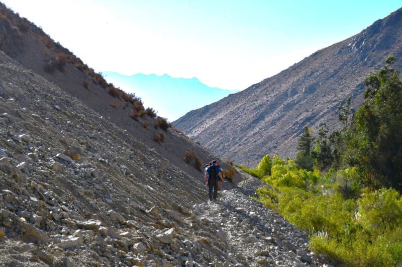 From Pisco Elqui: Cochiguaz River Valley Nature Hike - Key Points