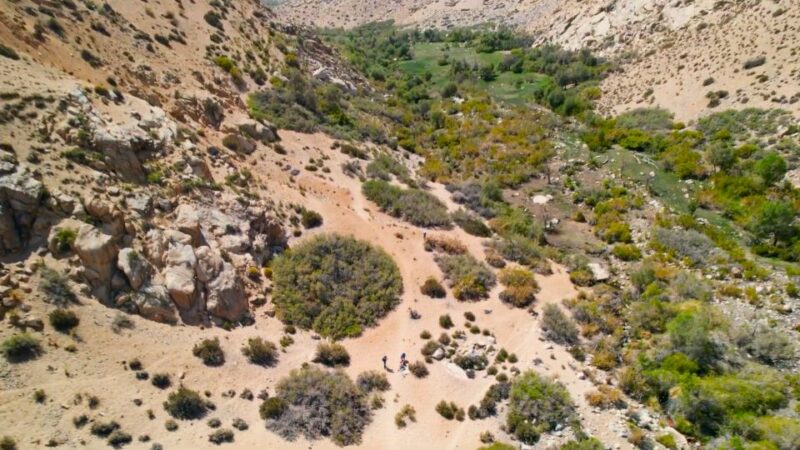 From Pisco Elqui: Cochiguaz River Valley Nature Hike - Experience Highlights