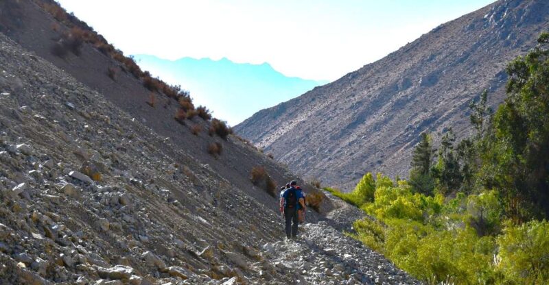 From Pisco Elqui: Cochiguaz River Valley Nature Hike - Tour Details