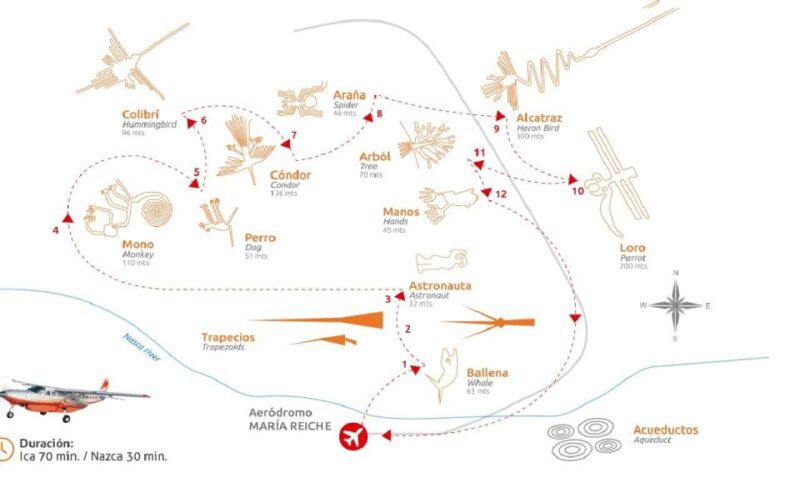 From Pisco or San Martin Port: Nazca Lines Flight - Included Services