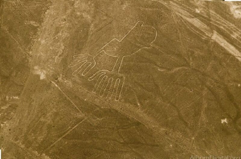 From Pisco or San Martin Port: Nazca Lines Flight - Important Information