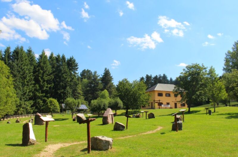 From Pizzo: Sila National Park Day Trip With Picnic Lunch - Key Points