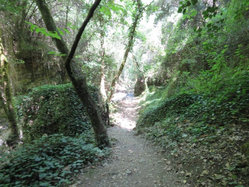 From Platanias: Guided Mountain Half Day Trip With Snack! - Sarakinas Gorge Exploration