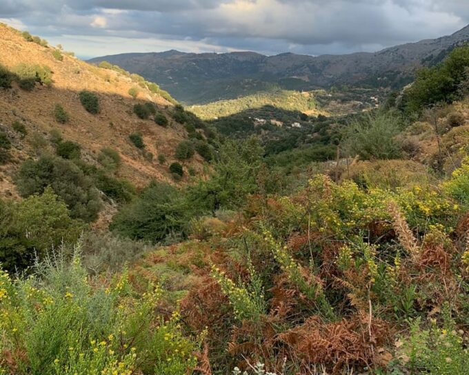 From Platanias: Guided Mountain Half Day Trip With Snack! - Therisso Village Visit