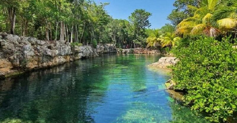 From Playa Del Carmen: Casa Tortuga 4 Cenotes - Inclusions and Amenities