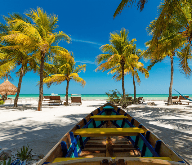 From Playa Del Carmen: One Way Shared Transfer to Holbox - Key Points