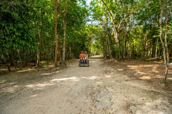 From Playa Del Carmen: Tulum, Coba, and Cenotes Day Trip - Frequently Asked Questions