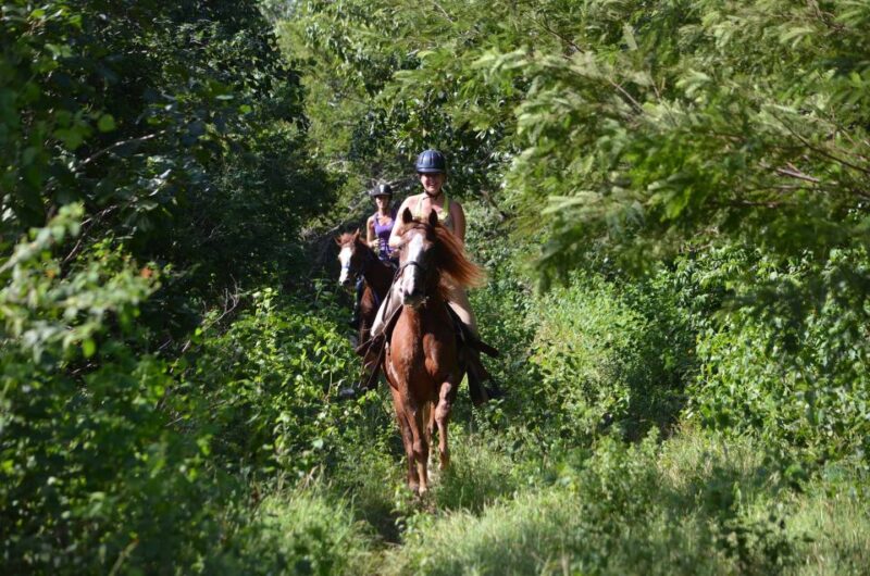From Playa Del Carmen/Tulum: Maya Adrenaline Park Tour - Cancellation Policy