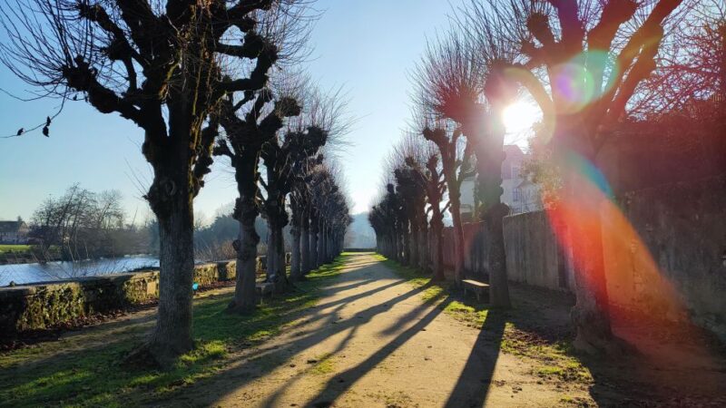 From Poitiers: Private Tour of Saint-Savin - Logis De Labbé and Gartempe River