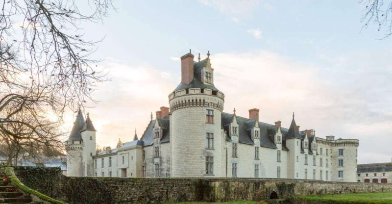 From Poitiers: Private Visit to the Castle of Dissay - Learn About French Renaissance