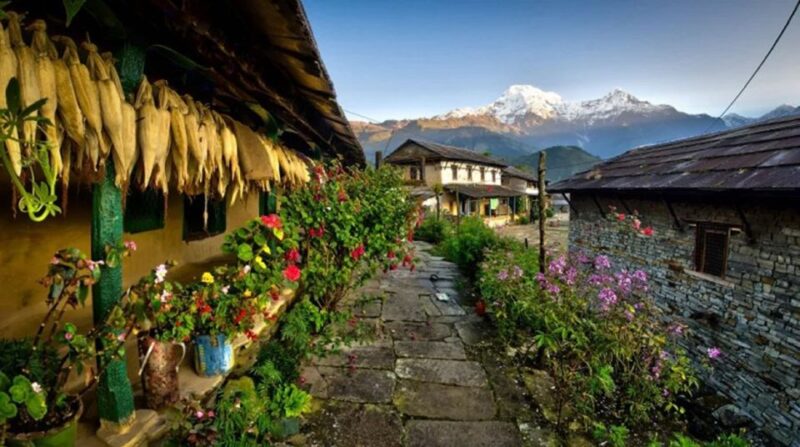 From Pokhara: 1 Night 2 Day Ghandruk Tour by 4w Jeep - Optional Short Hike to Kimche