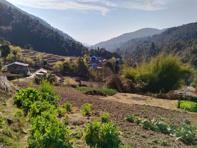From Pokhara: 10-Day Poon Hill and Annapurna Base Camp Trek - Health and Safety