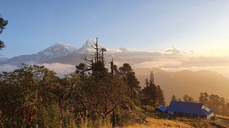 From Pokhara: 2 Day 1 Night Poon Hill Premium Trek - Inclusions and Whats Covered