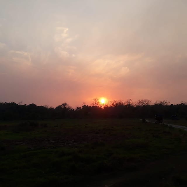 From Pokhara: 2-Day Chitwan National Park Safari Tour - Booking and Cancellation