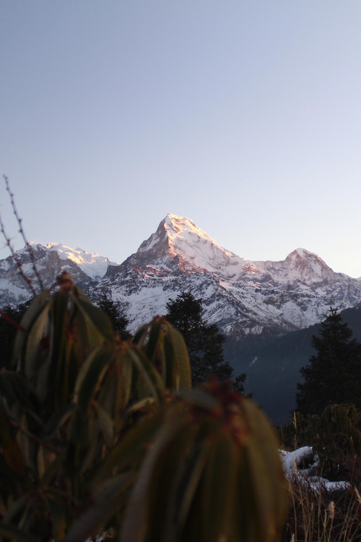 From Pokhara: 2 Day Poon Hill Himalayan Experience Trek - Trekking Experience