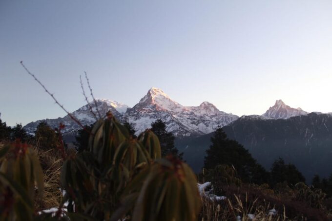 From Pokhara: 2 Day Poon Hill Himalayan Experience Trek - Drive and Trek Details