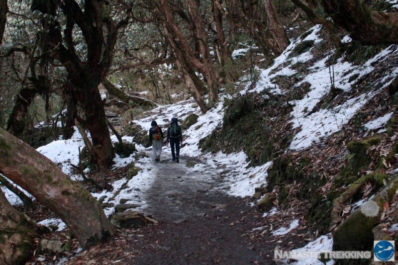 From Pokhara: 2-Day Short Poon Hill Trek - Key Points