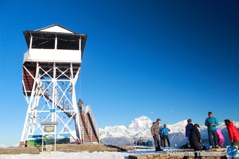 From Pokhara: 2-Day Short Poon Hill Trek - Trek Experience