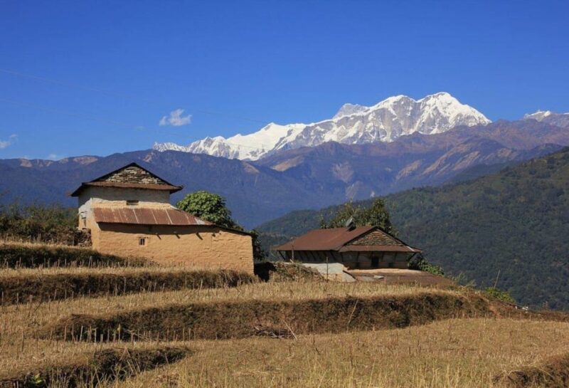 From Pokhara : 2-Days Private Trek to Panchase Hill - Accommodation and Local Experience