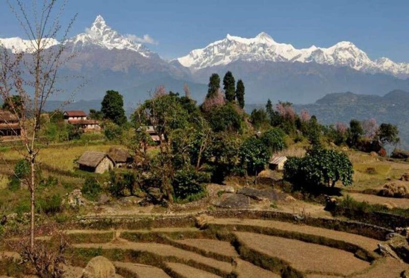 From Pokhara : 2-Days Private Trek to Panchase Hill - Inclusions and Exclusions
