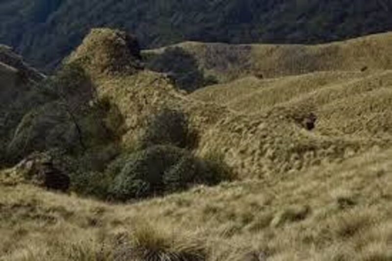 From Pokhara: 2 Night 3 Day Amazing Khumai Danda Trek - Inclusions and Services