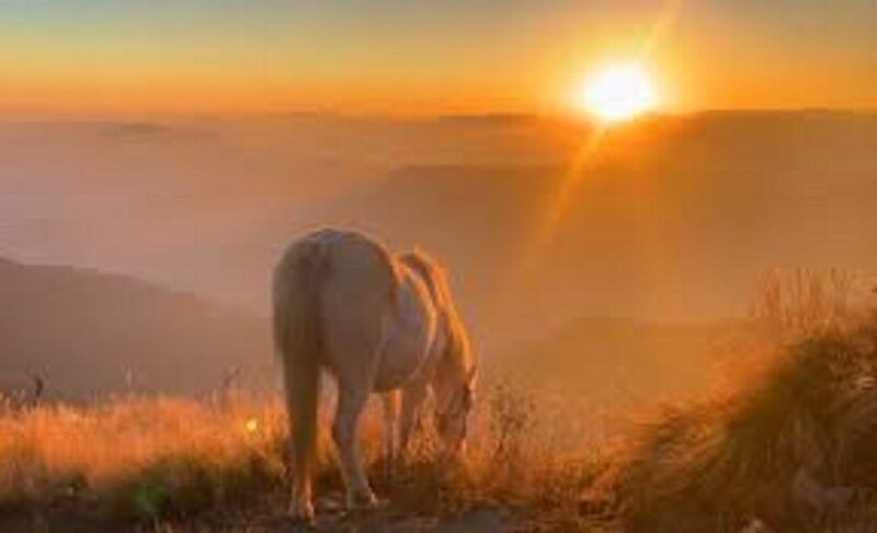 From Pokhara: 2 Night 3 Day Amazing Khumai Danda Trek - Sunrise at Korchan Danda
